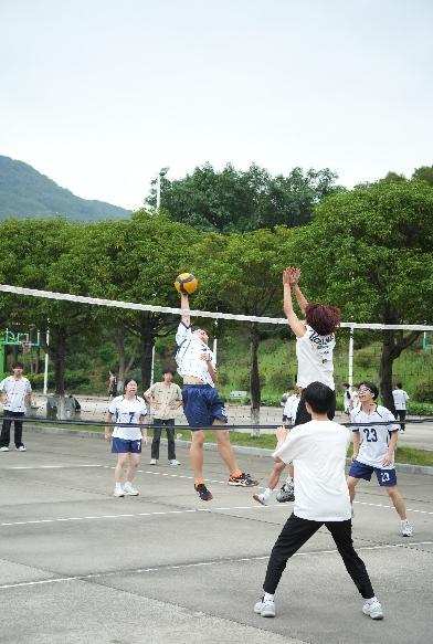 DFB3B